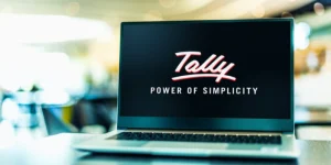 How Does Tally Support Multi-Currency Transactions?